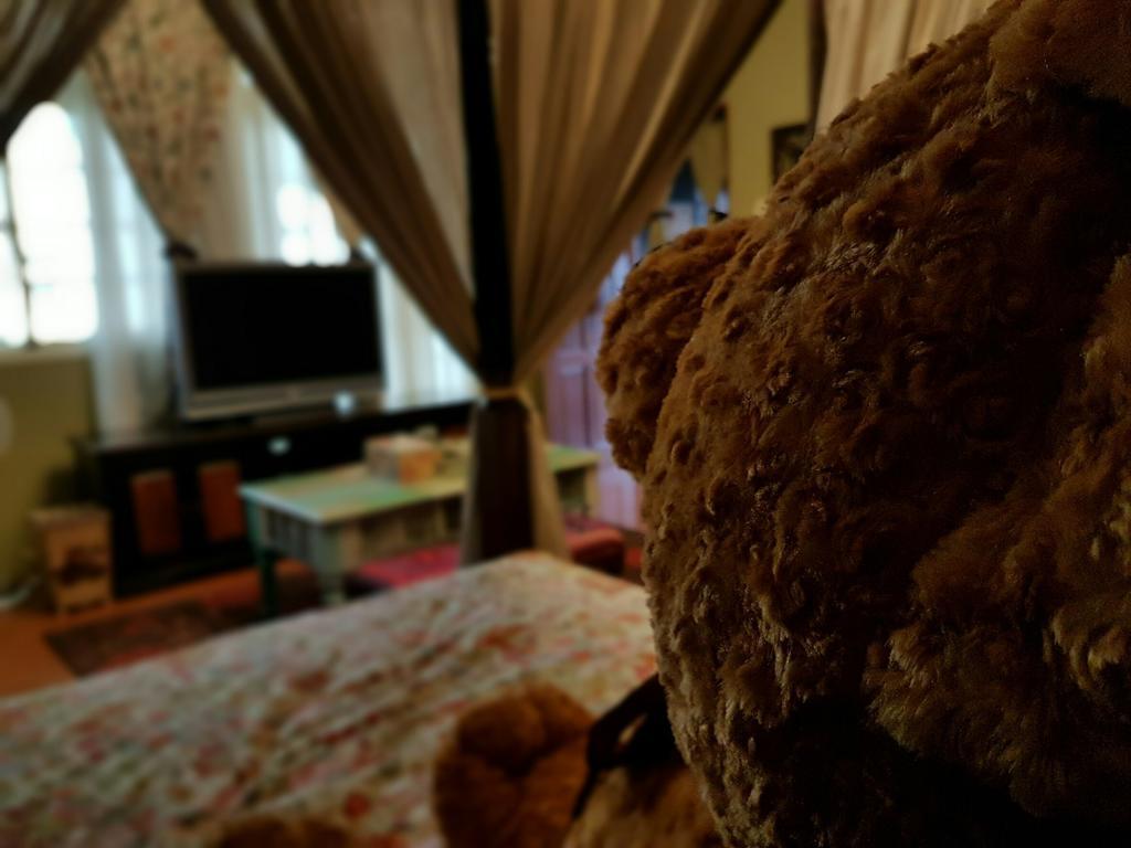 Bearbear Homestay Hualien Kültér fotó