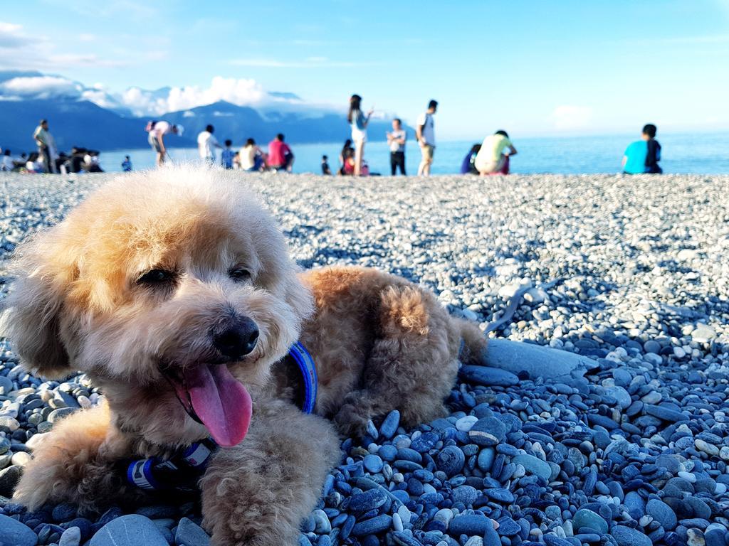 Bearbear Homestay Hualien Kültér fotó