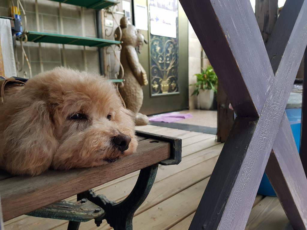 Bearbear Homestay Hualien Kültér fotó
